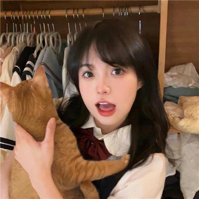 秋叶原系女友